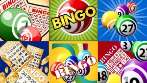 Bingo là trò chơi gì? Khám phá tuyệt chiêu để dễ dàng thắng mỗi ván đấu cùng cao thủ SHBET